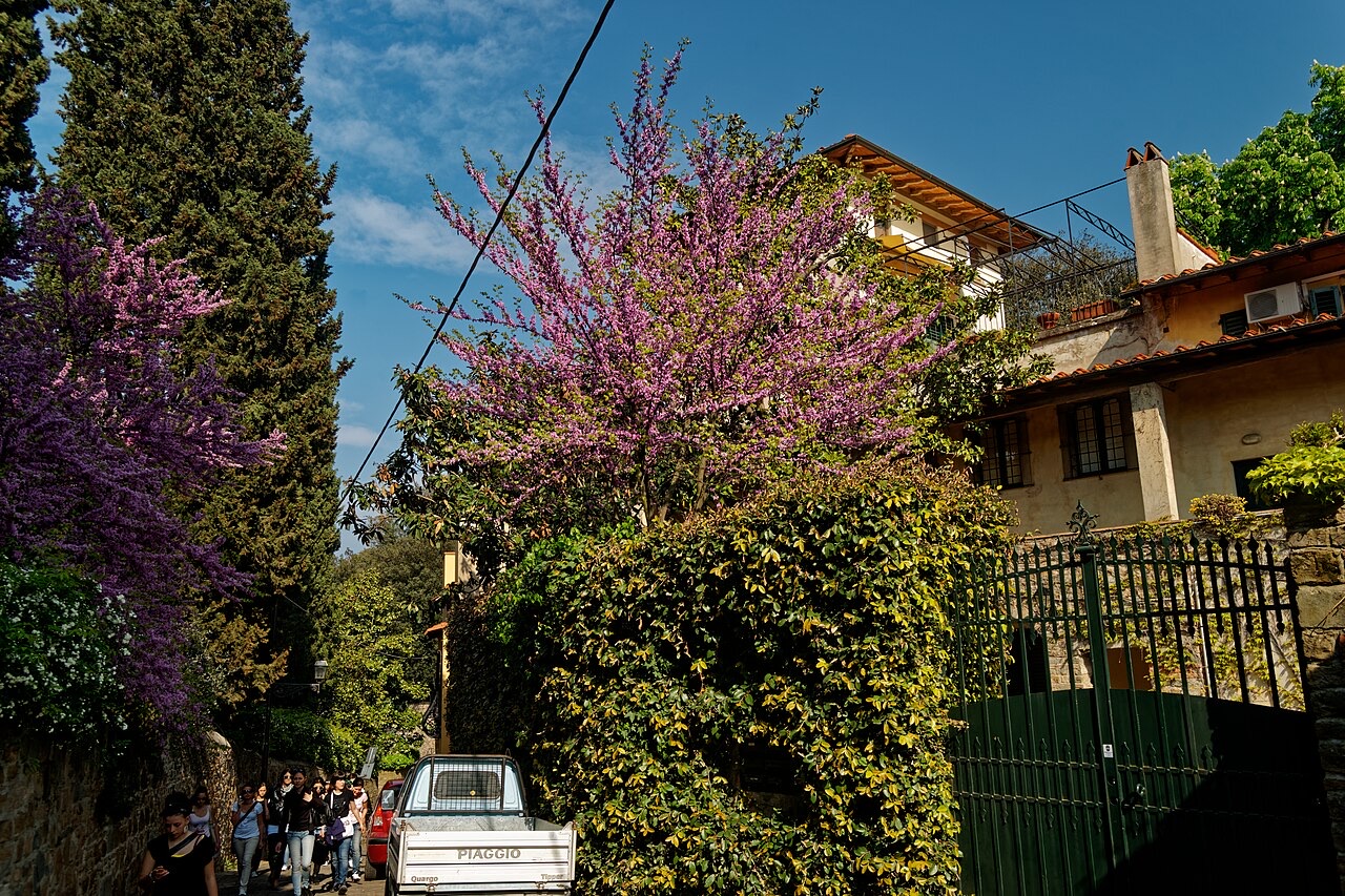 Florence, home of the Florentine tailoring tradition