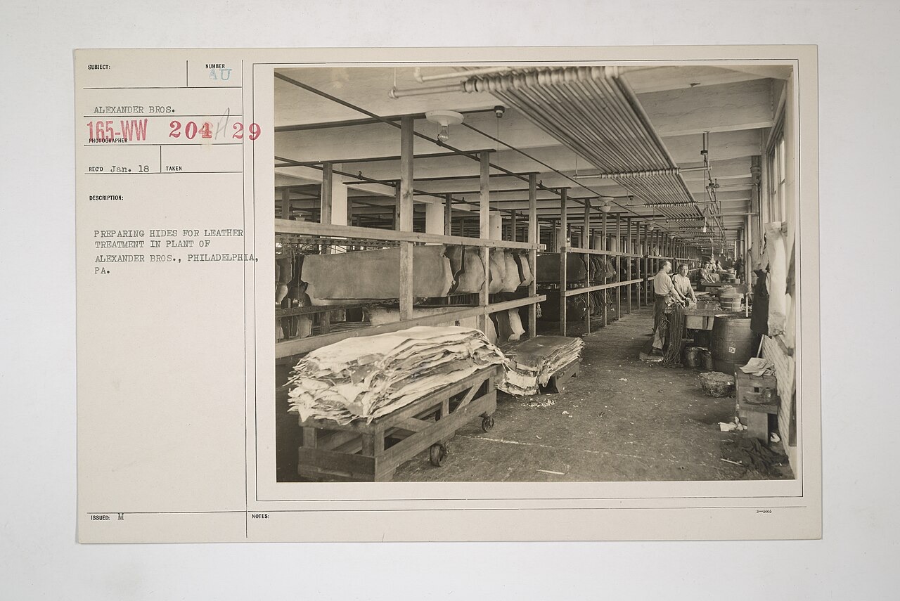 Leather — skin, stabilised by tanning